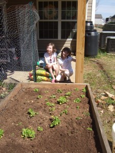 Katie and Emily take a break to admire the finely weeded lettuce bed.