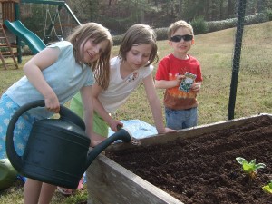 2013 Spring - First Seeds in the Ground